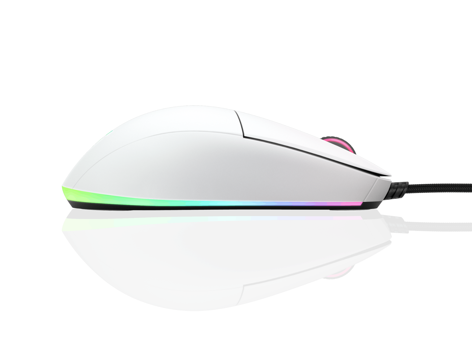 עכבר מחשב גיימינג ENDGAME GEAR XM1 RGB בצבע לבן