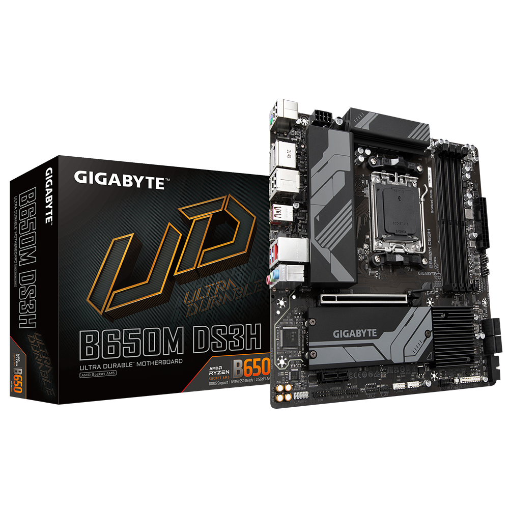 Gigabyte B650M DS3H