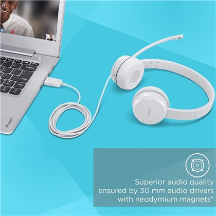 Lenovo 110 Stereo USB-headset