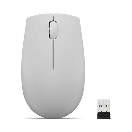 Lenovo 300 Wireless Compact Mouse (Arctic Grey)