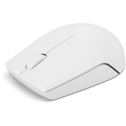 Lenovo 300 Wireless Compact Mouse (Cloud Grey)