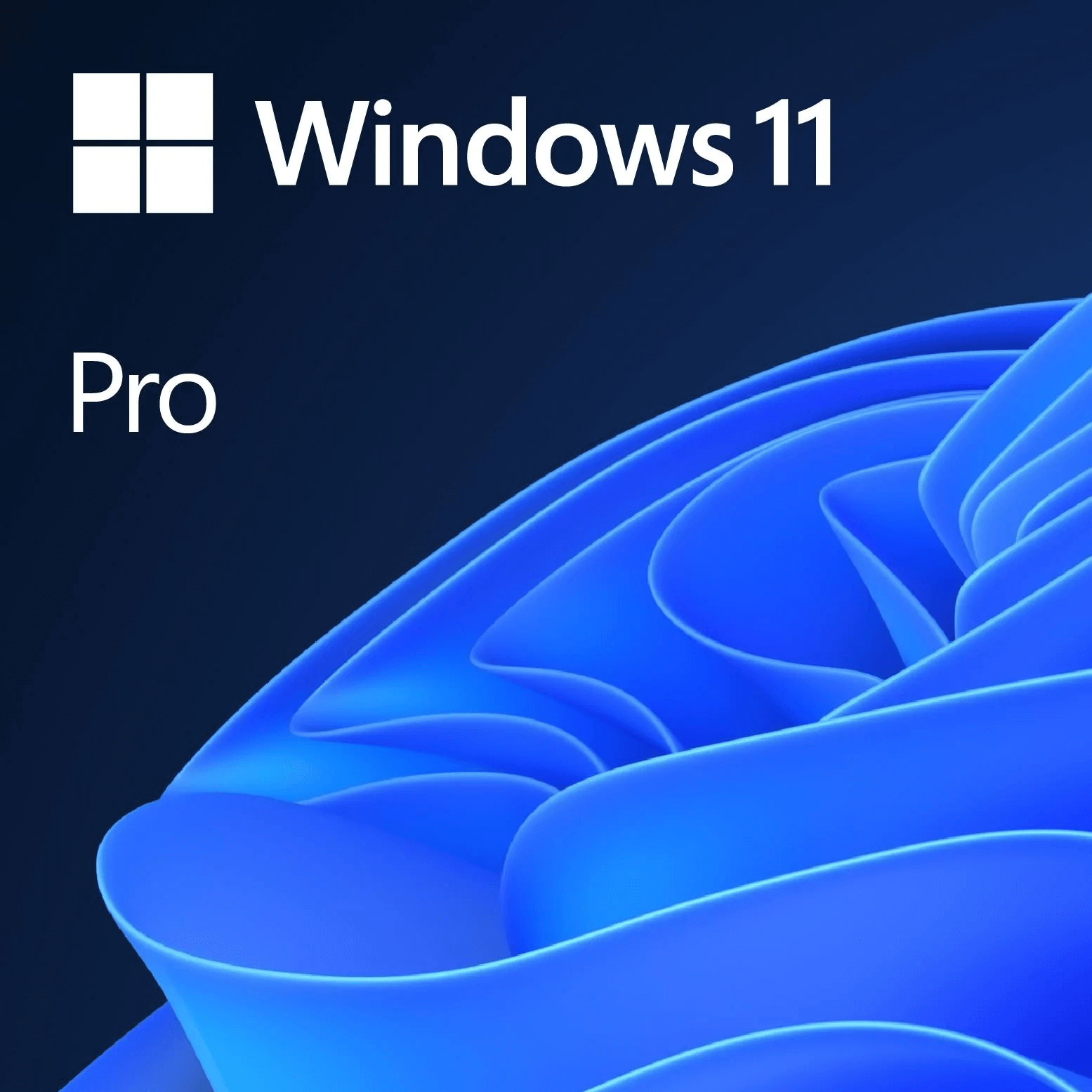 WINDOWS 11 PRO ENGLISH - DIGITAL LICENSE - Cryptech